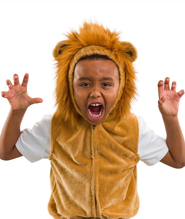 Lion Zip-Up Costume 'ROARR!'