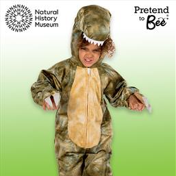 Kids T-Rex Onesie costume dress-up Thumb IMG