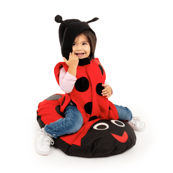 Ladybug Bean Cushion - Image 3