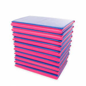 Blue & Pink Value Sleep Mat - Set of 10