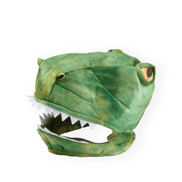 Dinosaur Dress Up Hood