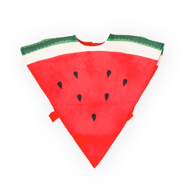 Watermelon Costume - Image 2