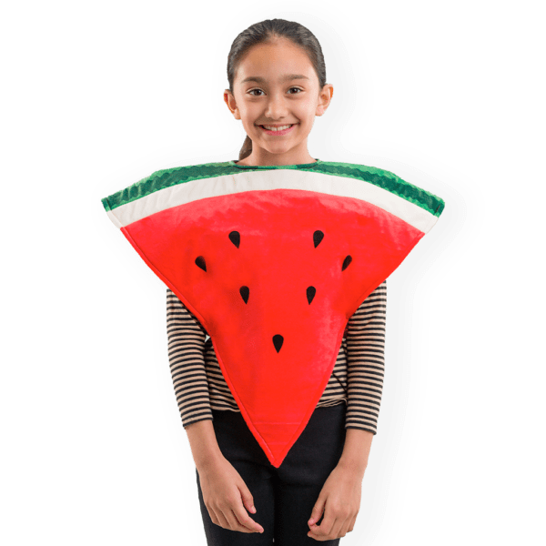 Watermelon Costume