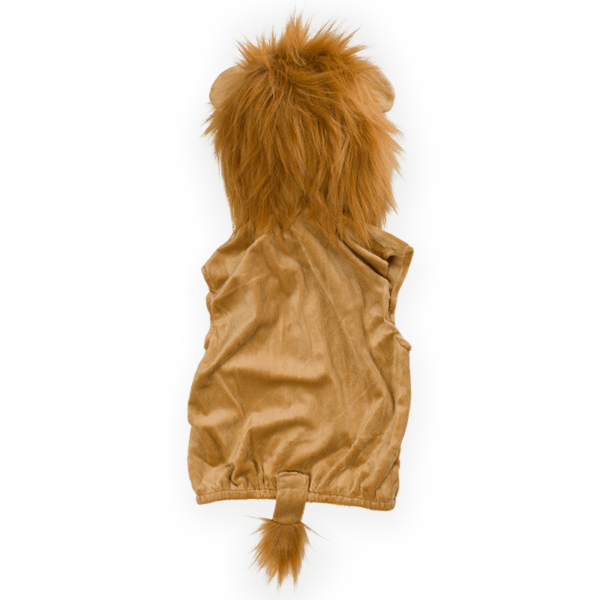 Lion Costume Top - Image 5