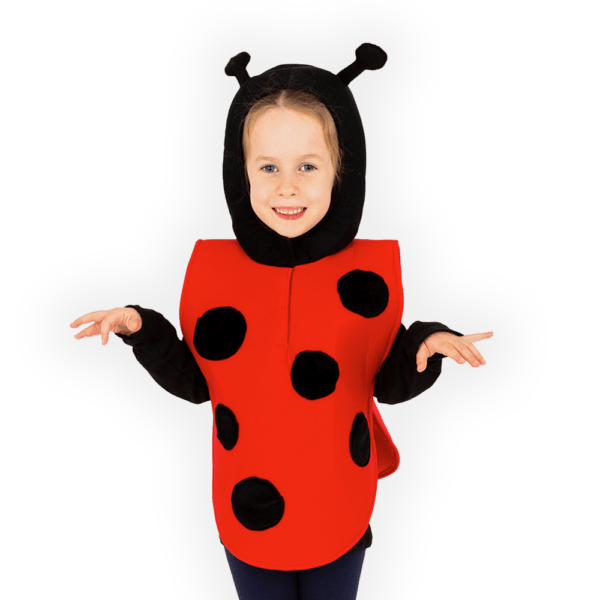 Ladybird Costume