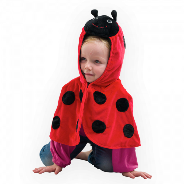 Ladybird Dress Up Cape